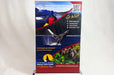 Medium Table-Top Retractable Stand for Campbell River Whale Watching | Clubcard Printing