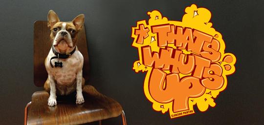 custom shape wall sticker in orange and yellow "that's whuts up" text  next to dog sitting on a chair | Clubcard Printing