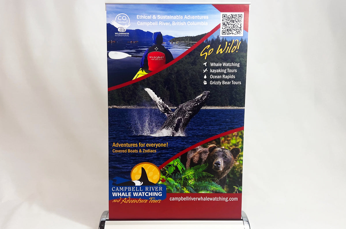 Medium Table-Top Retractable Stand for Campbell River Whale Watching | Clubcard Printing
