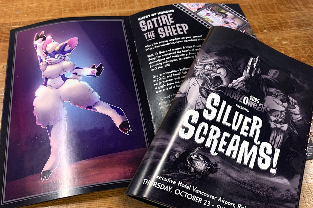 Vancouver Book, Comic & Zine Printing | Saddle Stitched Booklets