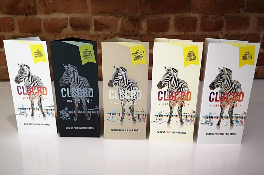 Five printed card stock brochures with zebra graphics displayed upright by Clubcard Printing Canada