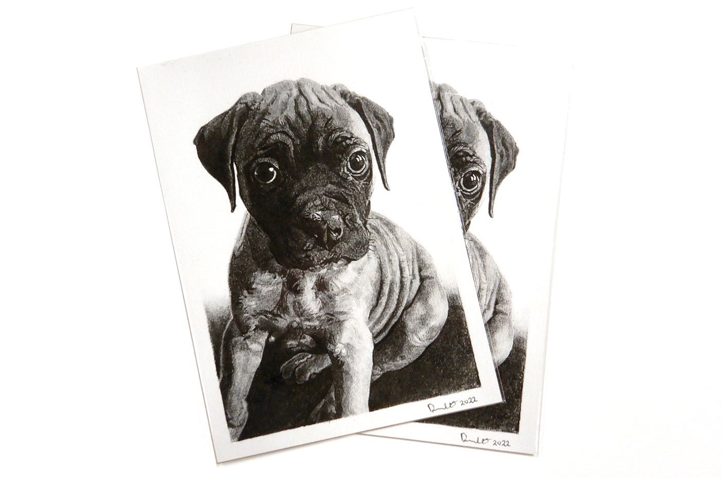 Two fine art photography prints featuring a black and white puppy portrait, printed by Clubcard Vancouver