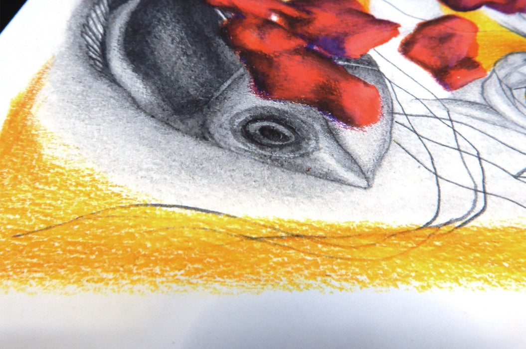 Fine art print sample featuring a pencil drawing of a bird head with colourful red and yellow details, printed by Clubcard Vancouver