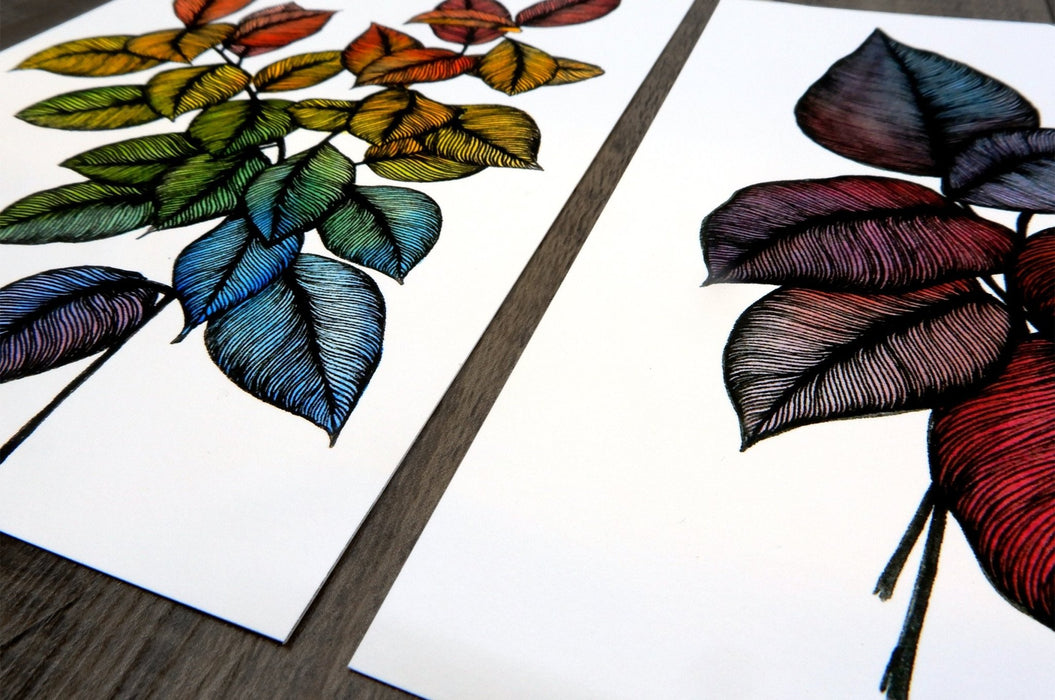 Two fine art sample prints displaying colorful illustrated leaves, printed by Clubcard Vancouver