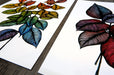 Two fine art sample prints displaying colorful illustrated leaves, printed by Clubcard Vancouver