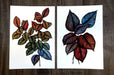 Two fine art sample prints featuring colourful detailed leaf artwork on wood background, printed by Clubcard Vancouver