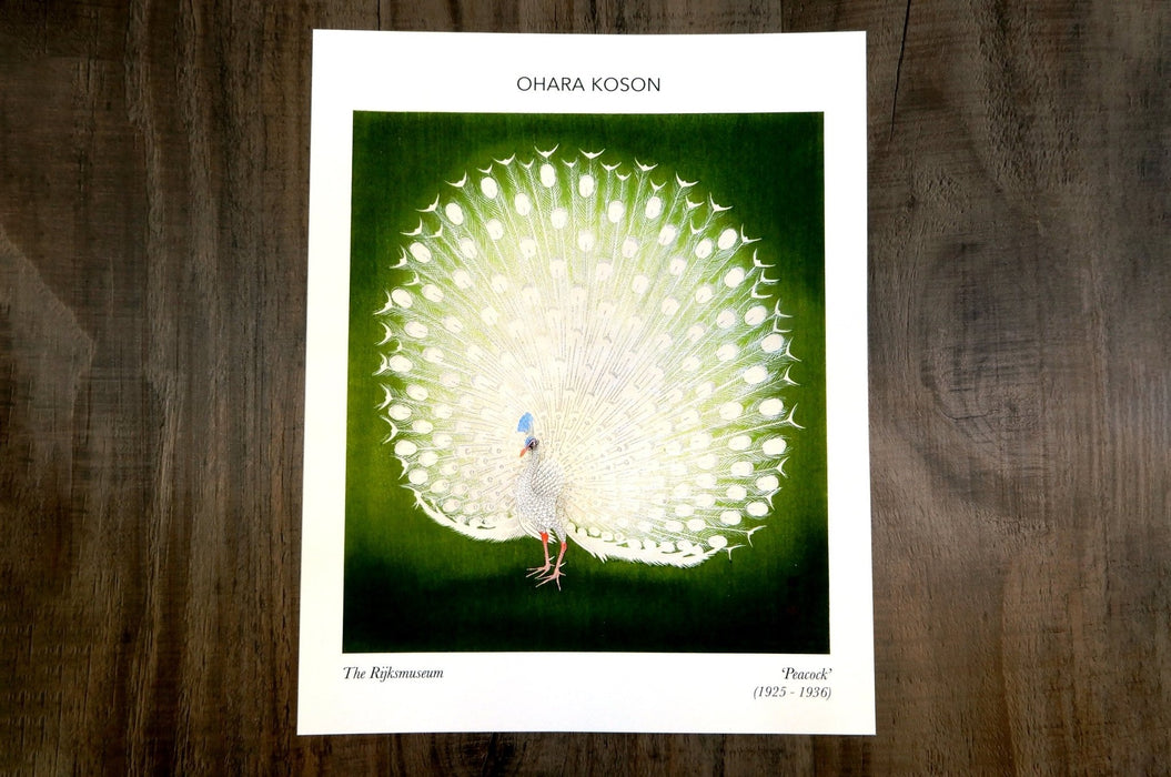 Fine art print sample featuring a white peacock illustration on a dark green background by artist Ohara Koson, printed by Clubcard Vancouver