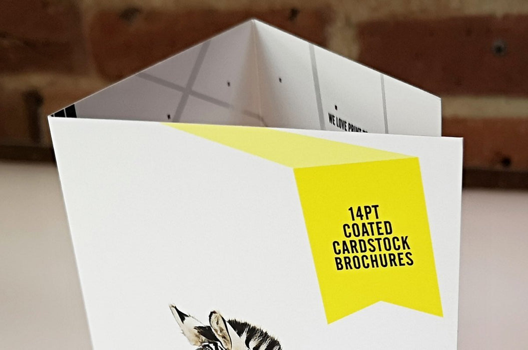 Close-up view of a coated card stock brochure with a yellow specs badge printed by Clubcard Printing Canada