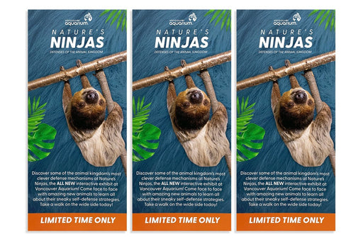 Coated Rack Cards 15pt - Clubcard Printing Canada