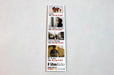 FilmKicks cinema screening schedule custom printed bookmark on 15pt coated stock by Clubcard Vancouver
