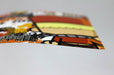 Gloss DVD Covers 80lb - Clubcard Printing Canada