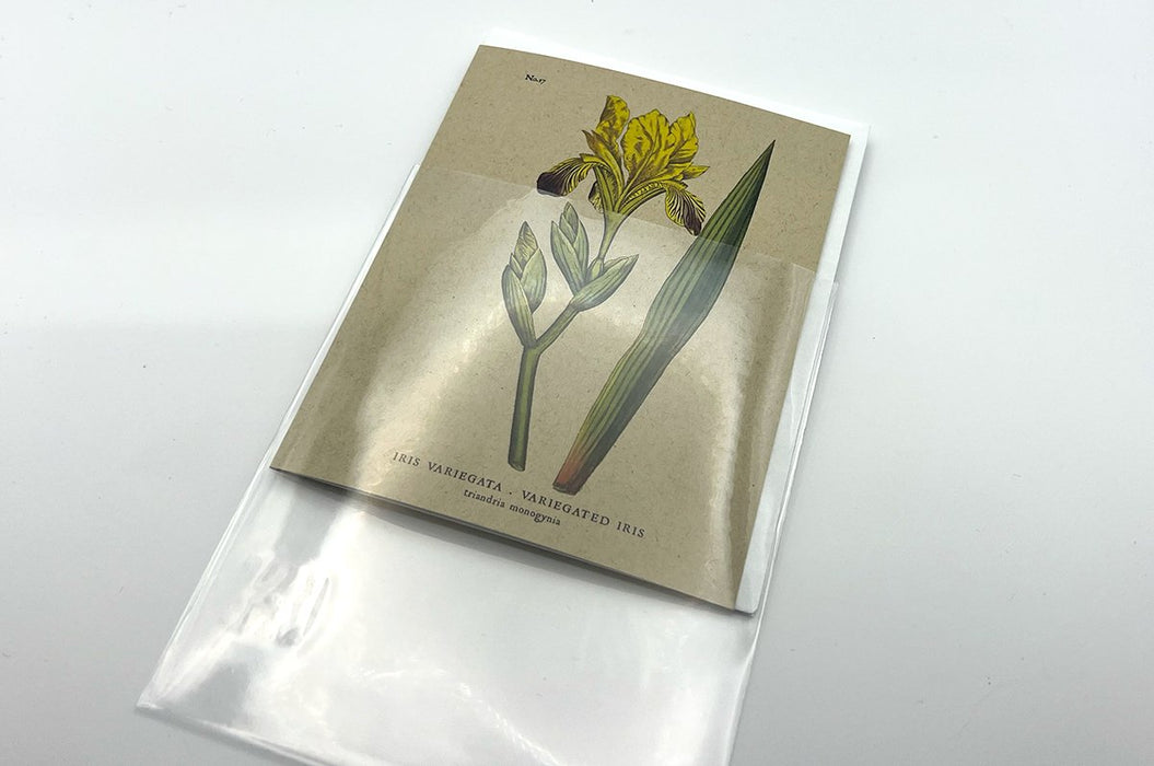 Clear Greeting Card & Envelope Sleeves Clubcard Printing Canada Clear Greeting Card & Envelope Sleeves Clubcard Printing Canada