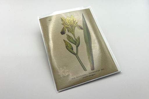 Clear Greeting Card & Envelope Sleeves — Clubcard Printing Canada