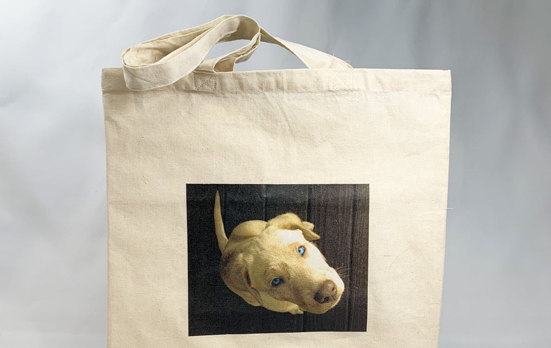 Custom printed natural cotton tote bag sample featuring a photographic print of a champagne lab puppy naked butters on a dark wood background, printed by Clubcard Vancouver