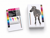 Recycled Uncoated Card Stock Brochures 15pt - Clubcard Printing Canada