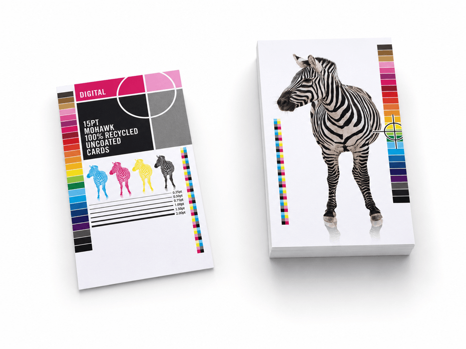 Recycled Uncoated Card Stock Brochures 15pt - Clubcard Printing Canada