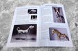 Open spread of a saddle stitched instructional art guide printed in Vancouver