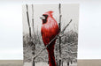 Red Finch printed on 16pt Bamboo textured card stock | Clubcard Printing