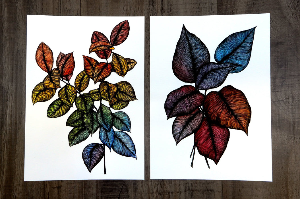 Leaf Illustration | Archival Fine art print on velvet fine art paper | Clubcard Printing Vancouver