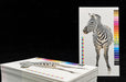 Image of a zebra printed on 16pt Bamboo textured card stock | Clubcard Printing