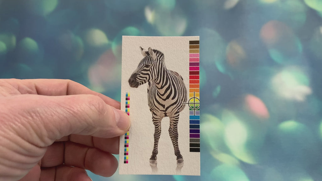 video of 16pt Bamboo textured card stock | Clubcard Printing